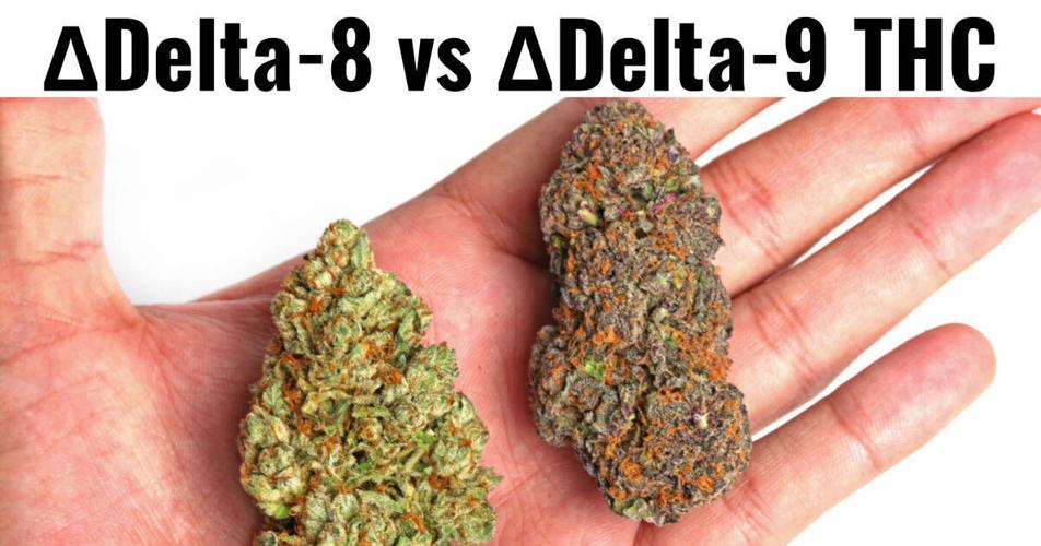 What Is The Difference Between Delta 8 & Delta 9?